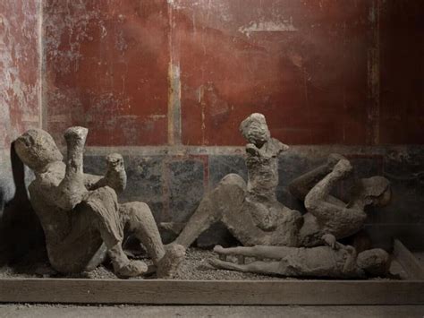 tinyzone pompeii|Pompeii .
